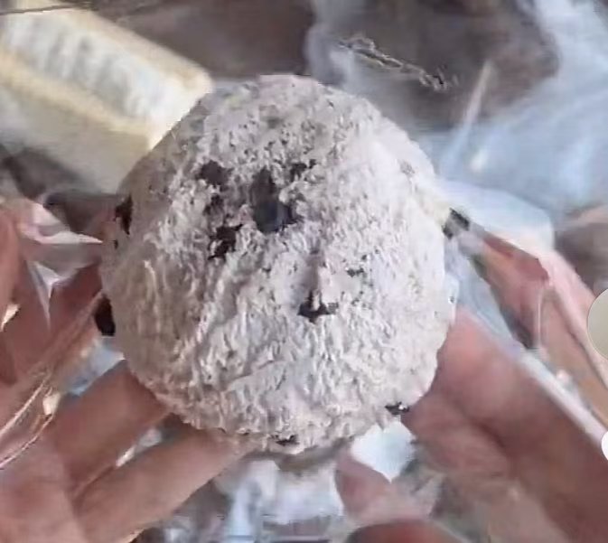 🎀1500　予約品 棉奶油 （ 発送は春節以降）xr