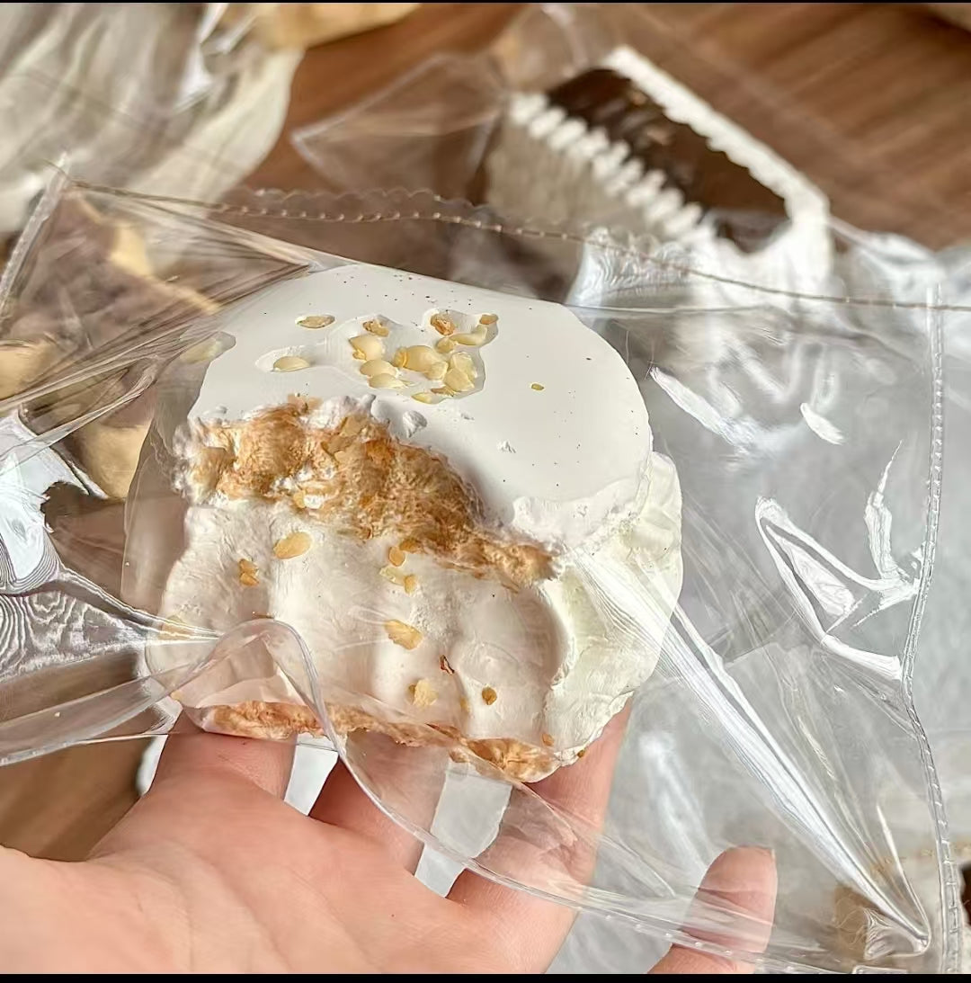 🎀1490　予約品  （ 発送は春節以降）xr  ebiちゃん