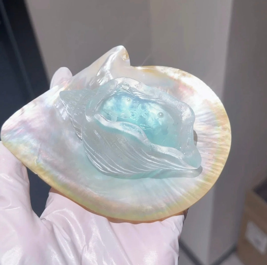 2385　予約品　醇奶油  VC　受注受け締め日　3/13　24：00